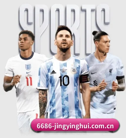 6686比分 APP