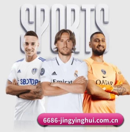 6686比分 APP 界面