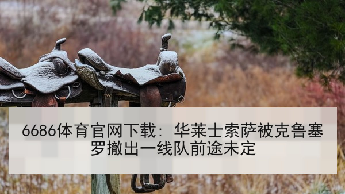 6686体育官网下载: 华莱士索萨被克鲁塞罗撤出一线队前途未定（6686.com）