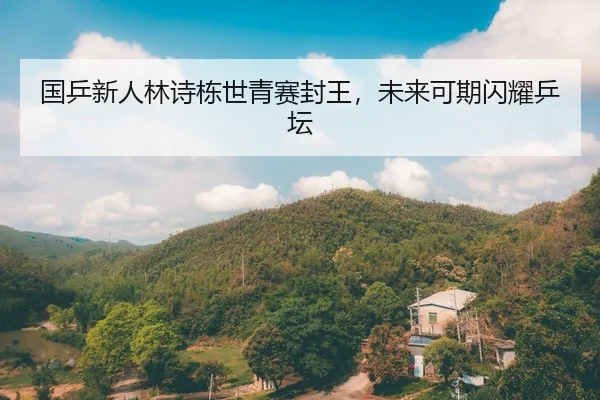 国乒新人林诗栋世青赛封王，未来可期闪耀乒坛